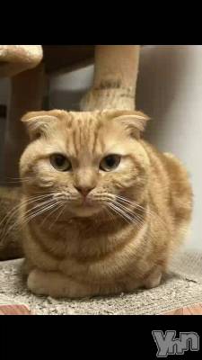 12��27�� 04��19ʬ��ư��