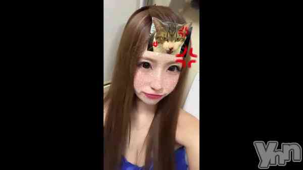 ��🐈⸒⸒⸒⸒��