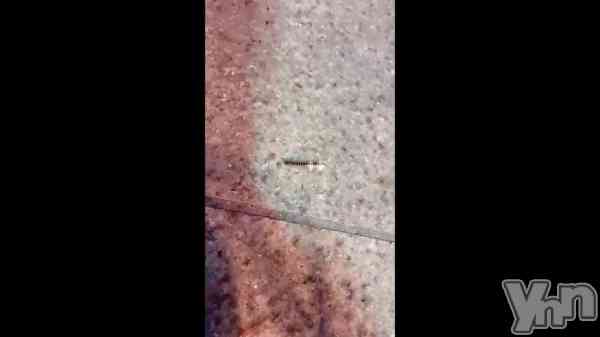 �������֤ʤˤ��졪��