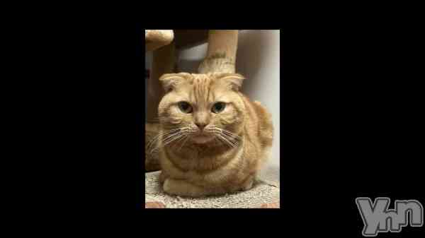 ��12��27�� 04��19ʬ��ư���