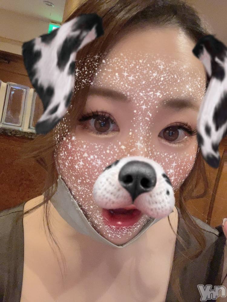 ���ܥ���Х��顦�����club EL Dorado(����֡�����ɥ��) �����Υԡ���ɱ�ޤ���11��6���̥�֥����֥�������