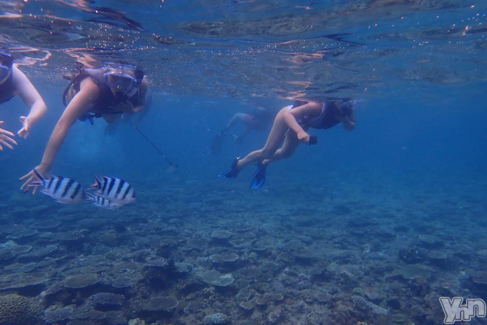 ���ܥ���Х��顦�����club EL Dorado(����֡�����ɥ��) �����Υԡ���ɱ�ޤ���8��13���̥�֥����֥���Ρ������