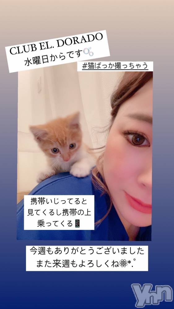 ���ܥ���Х��顦�����club EL Dorado(����֡�����ɥ��) �����Υԡ���ɱ�ޤ���10��2���̥�֥�����10��2�� 21��55ʬ�Υ֥�����