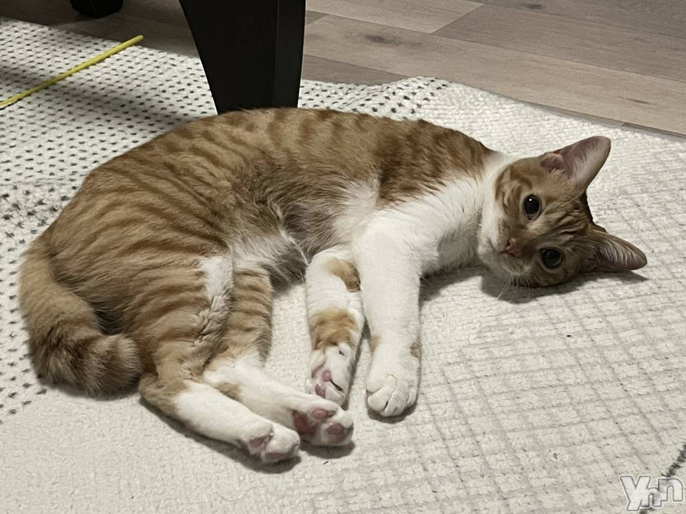 ���ܥ���Х��顦�����club EL Dorado(����֡�����ɥ��) �����Υԡ���ɱ�ޤ���3��16���̥�֥�����ǭ��