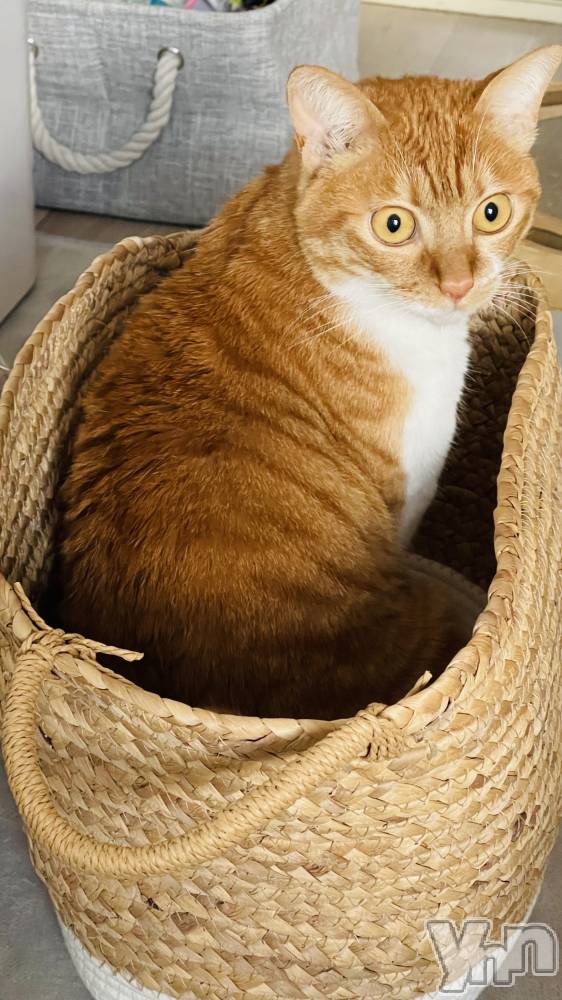 ���ܥ���Х��顦�����club EL Dorado(����֡�����ɥ��) �����Υԡ���ɱ�ޤ���4��24���̥�֥����֤��Ϥ褦��