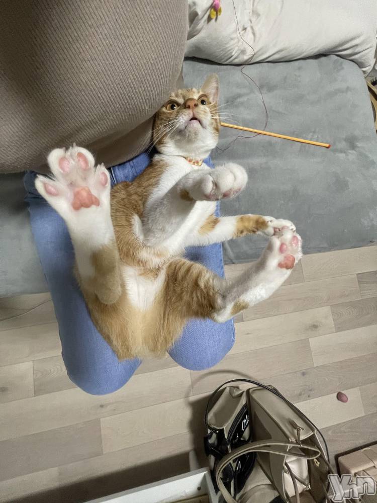 ���ܥ���Х��顦�����club EL Dorado(����֡�����ɥ��) �����Υԡ���ɱ�ޤ���7��30���̥�֥����֥ѥå������