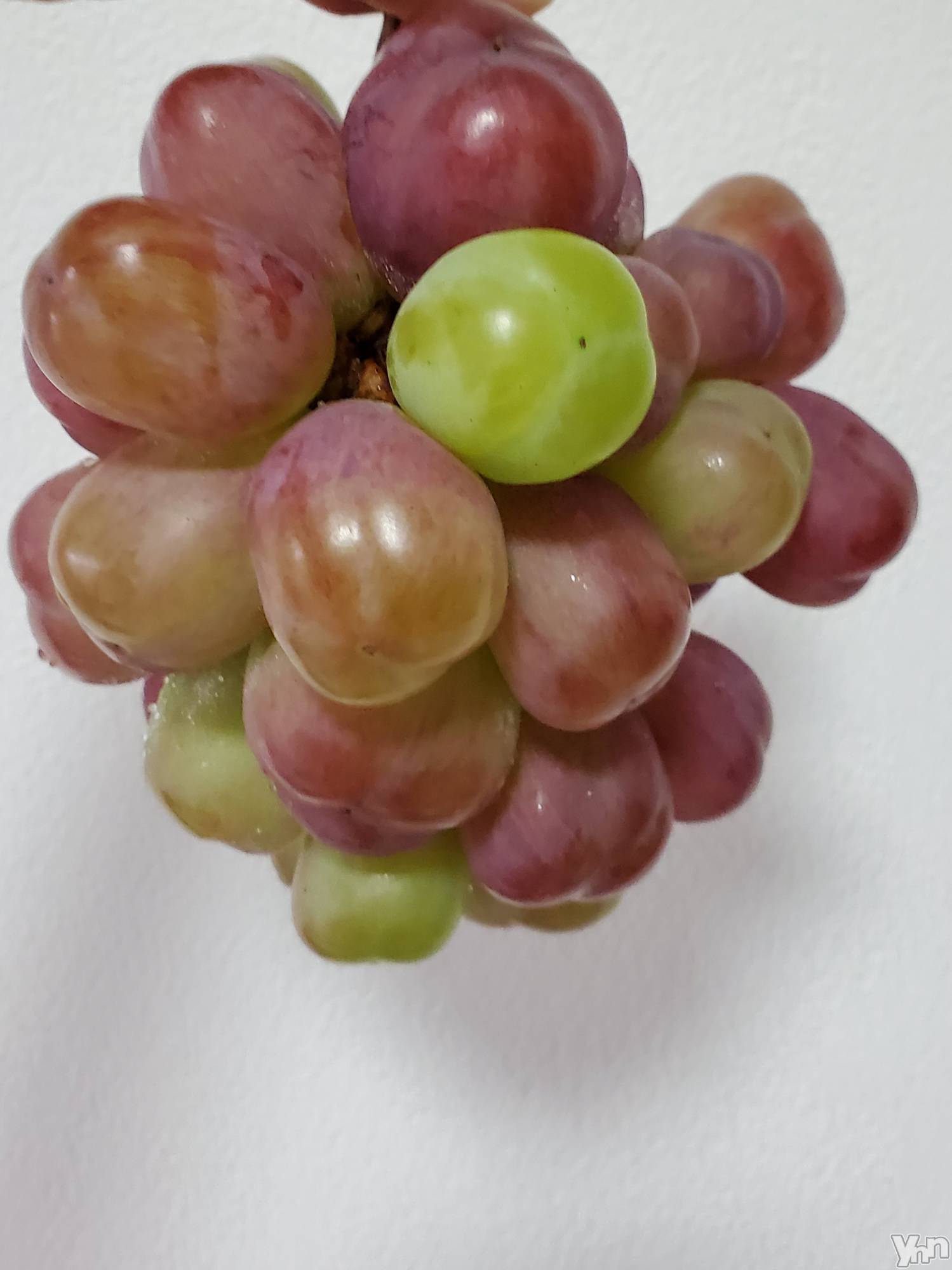 ���ܥ���Х��顦�����club EL Dorado(����֡�����ɥ��) ��2020ǯ9��21���̥�֥����֤��ä����á�