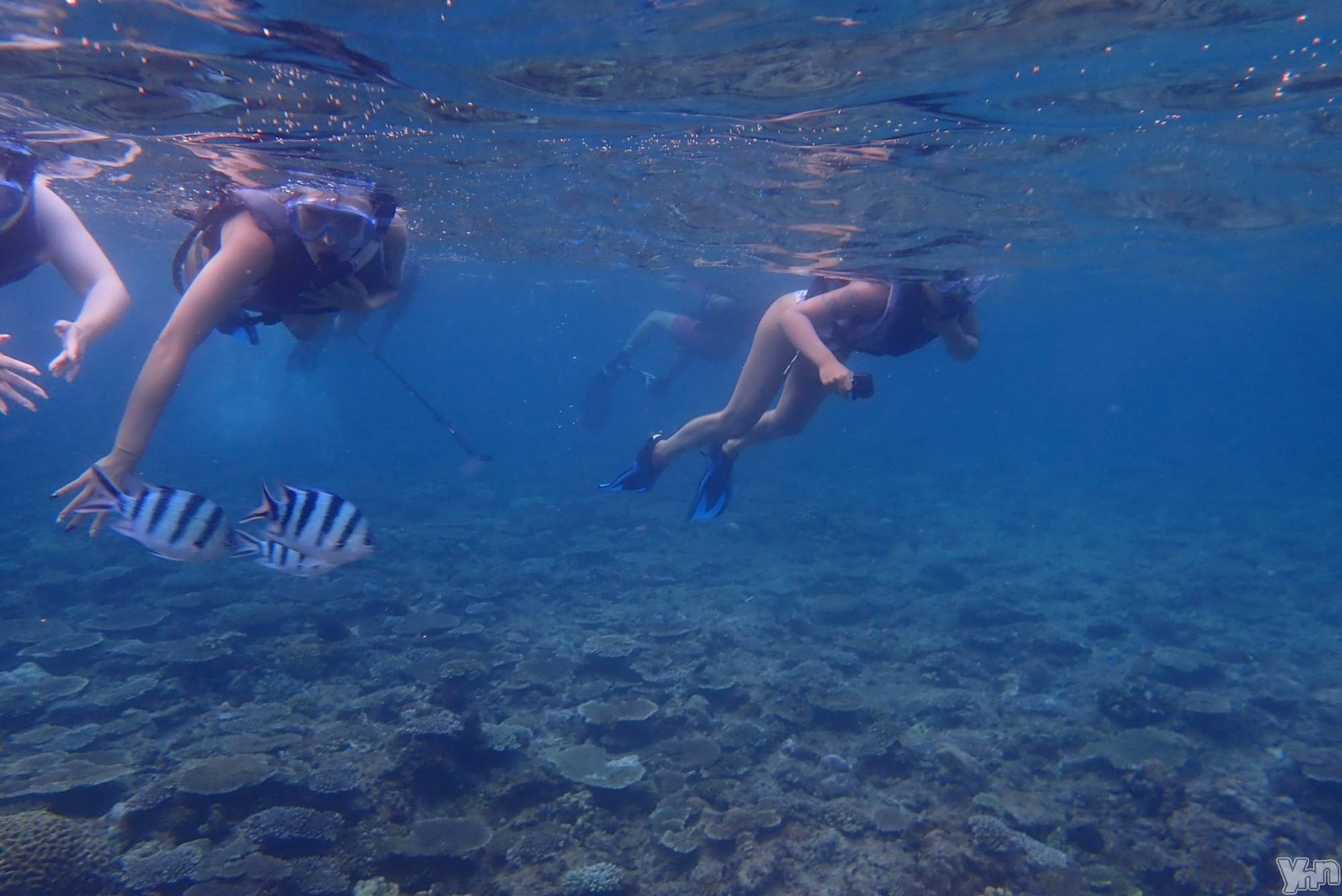 ���ܥ���Х��顦�����club EL Dorado(����֡�����ɥ��) ��2022ǯ8��13���̥�֥����֥���Ρ������