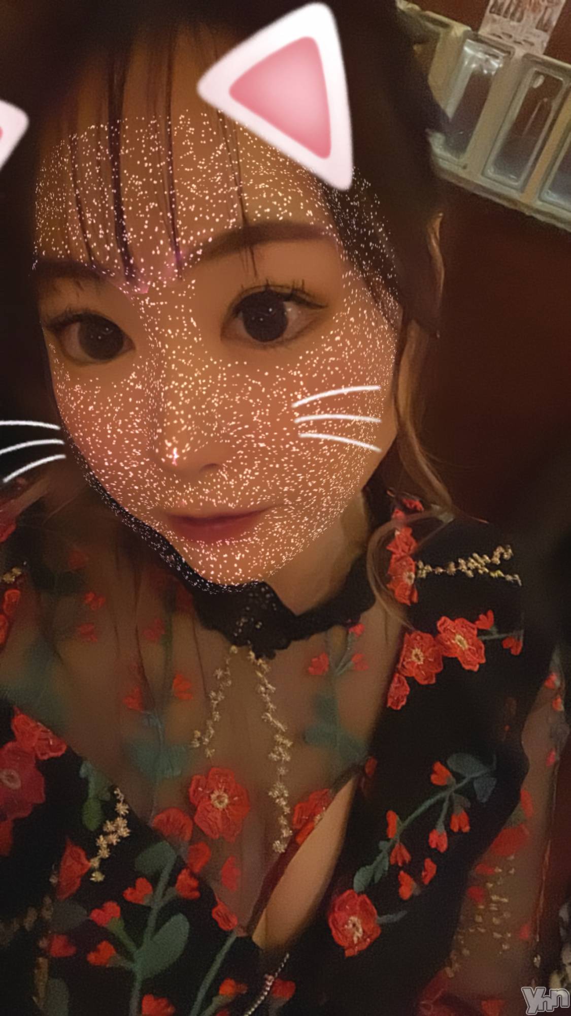 ���ܥ���Х��顦�����club EL Dorado(����֡�����ɥ��) ��2024ǯ1��31���̥�֥����ֺǽ�����