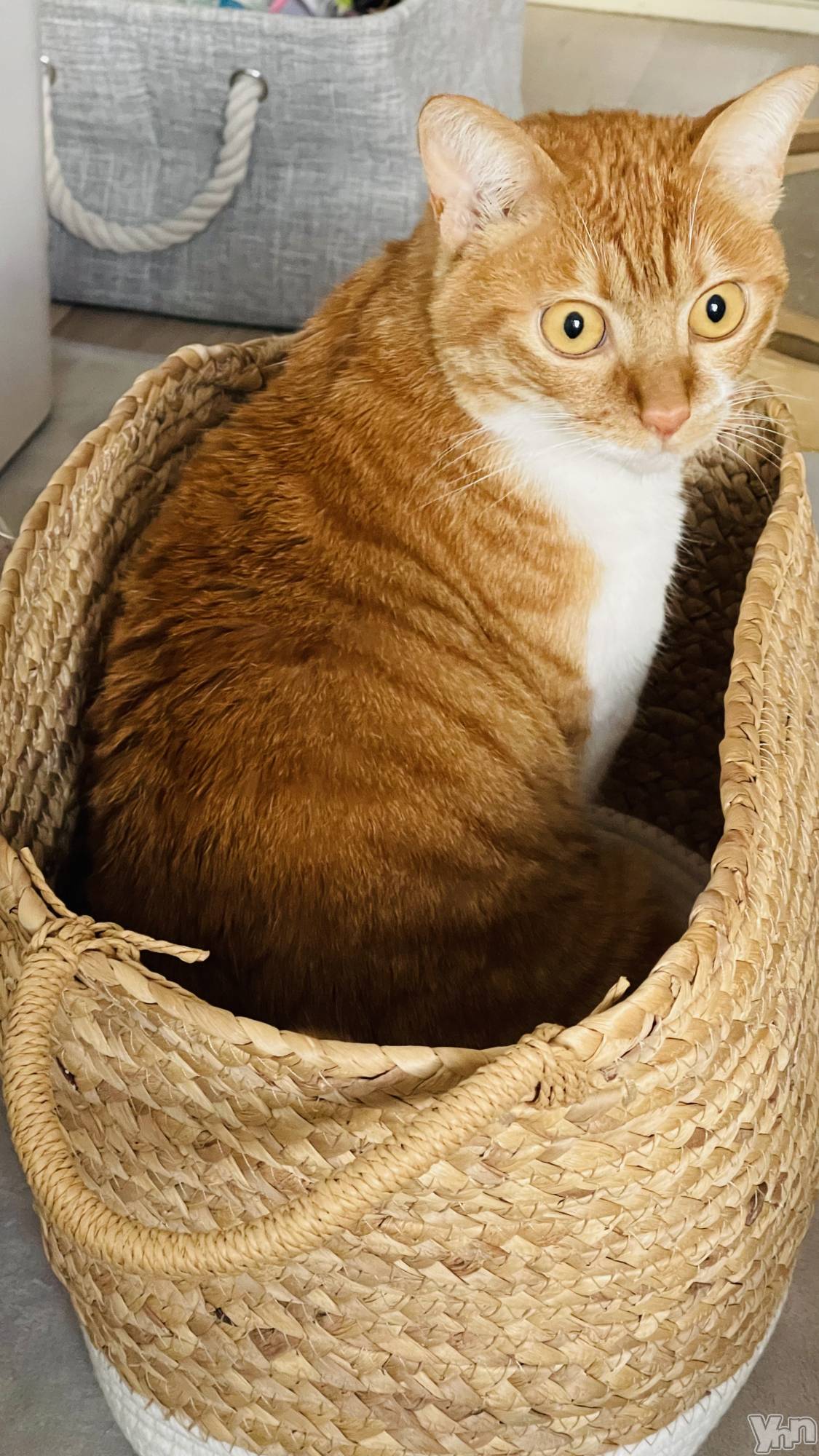 ���ܥ���Х��顦�����club EL Dorado(����֡�����ɥ��) ��2024ǯ4��24���̥�֥����֤��Ϥ褦��