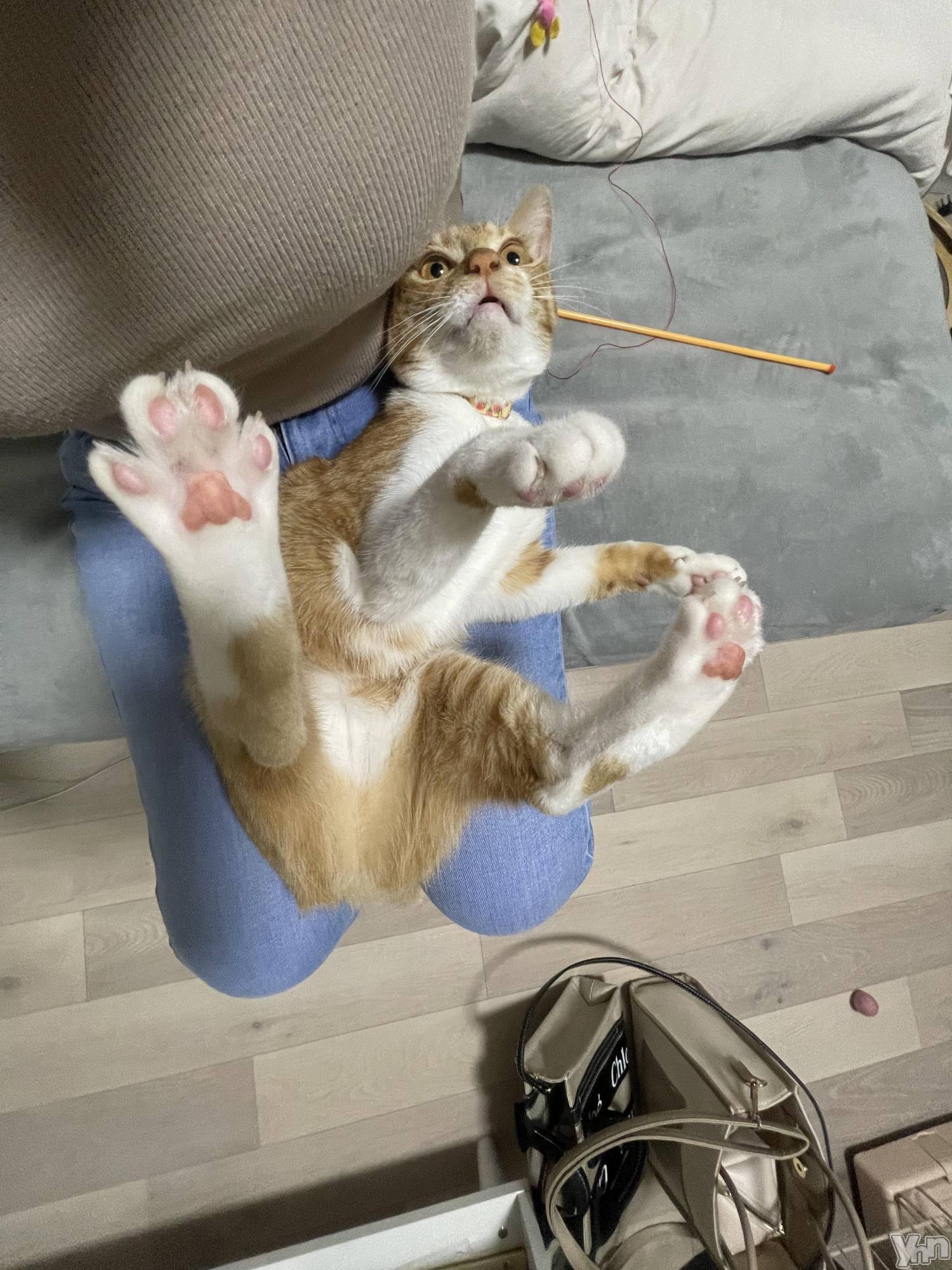 ���ܥ���Х��顦�����club EL Dorado(����֡�����ɥ��) ��2024ǯ7��30���̥�֥����֥ѥå������