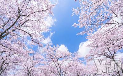 ���ܥ���Х��顦�����club EL Dorado(����֡�����ɥ��) �����Υԡ���ɱ�ޤ�(99)��3��11���̥�֥����֤��줫��10ǯ��