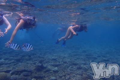 ���ܥ���Х��顦�����club EL Dorado(����֡�����ɥ��) �����Υԡ���ɱ�ޤ�(99)��8��13���̥�֥����֥���Ρ������