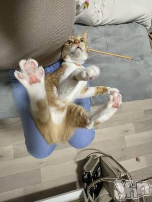 ���ܥ���Х��顦�����club EL Dorado(����֡�����ɥ��) �����Υԡ���ɱ�ޤ�(99)��7��30���̥�֥����֥ѥå������