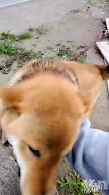 �㤷�����������