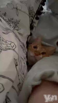 �����ط��ʤ����ɸ����ߤ����ä���