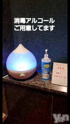 �����Ƚ��ݤǤ�✩