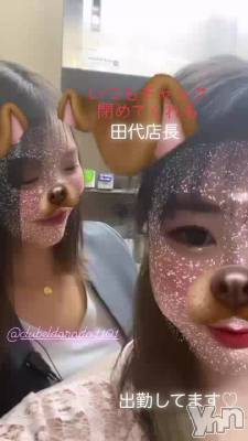 ����å�����ơ�