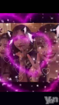 �Х�󥿥���ǡ����٥�ȡ�