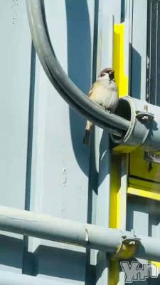 ���֤���