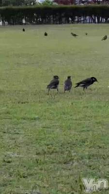 6��10�� 20��50ʬ�Υ֥���