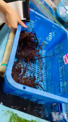 ���Ӥ����