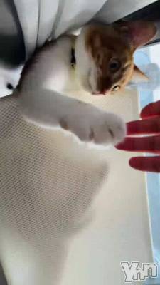 �ե��󥵤���ΤԤ���