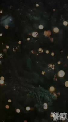 �����ޤ��Ƥ���ǤȤ��������ޤ�🌸