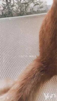 ���Ϥ�🐈⸒⸒⸒⸒