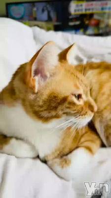 ���Ϥ褦��