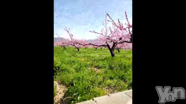 �ֽդ��Ϥ���