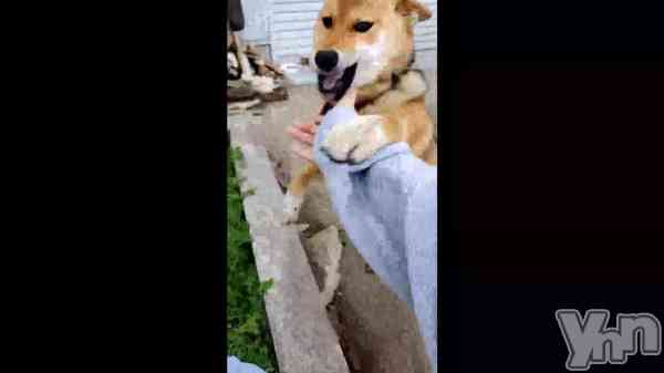 �ַ㤷����������С�