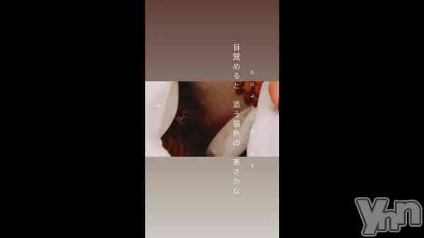 ���ж硩û�Ρ���