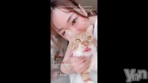 �֤ˤ�󤳤�🐱��