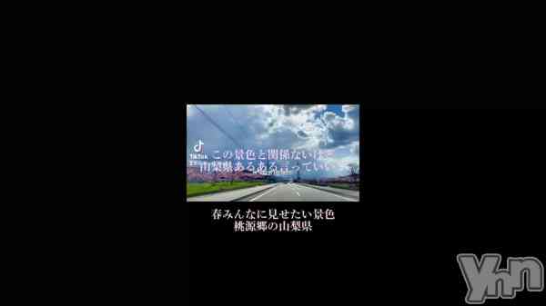 �ֻ��������뤢��🗻��