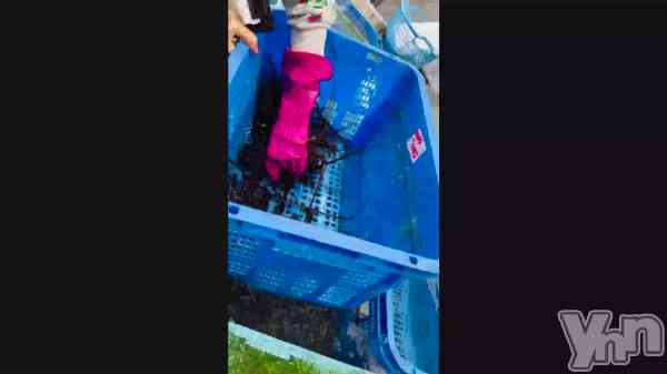 �֥��Ӥ�����