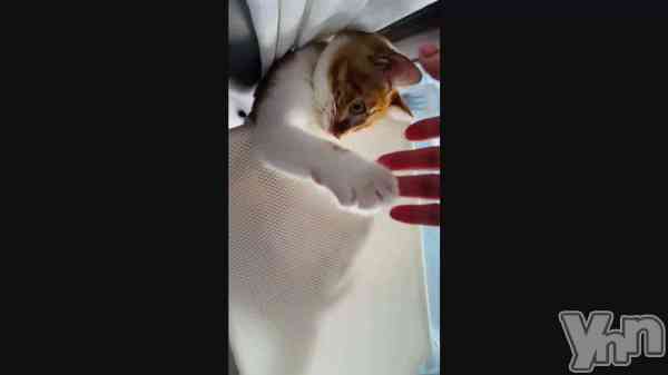 �֥ե��󥵤���ΤԤ����