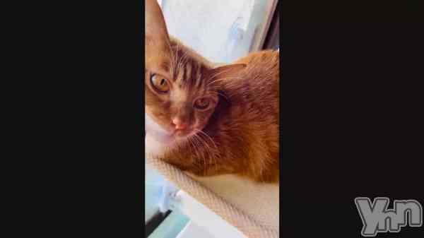 �֤��Ϥ�♡��