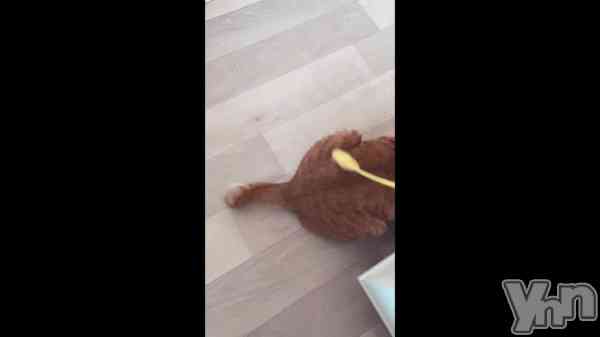 �֤����ߤ���