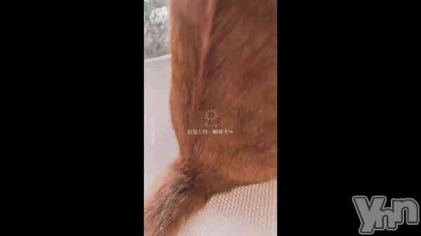 �֤��Ϥ�🐈⸒⸒⸒⸒��