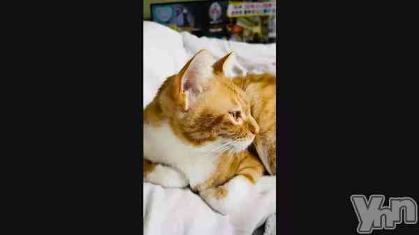 �֤��Ϥ褦����