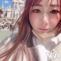 ���ܻԥ���Х��顦����� club EL Dorado(����֡�����ɥ��) �����Υԡ���ɱ�ޤ��β���(2����)