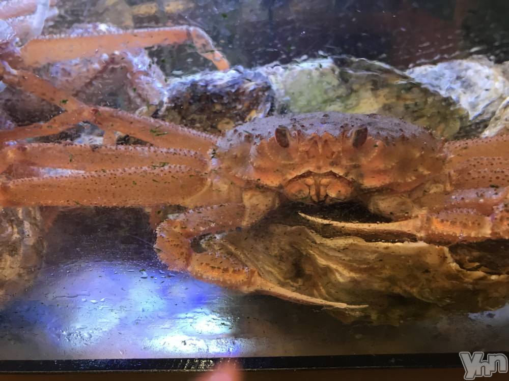 ���ܥ���Х��顦�����club RUDAN(����֥����) �椤��4��23���̥�֥����֥���(���ࡱ)��