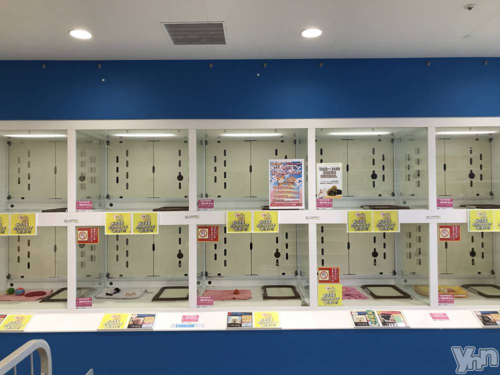 ���ܥ���Х��顦�����club RUDAN(����֥����) �椤��4��29���̥�֥����������ġ�.��( ������)��