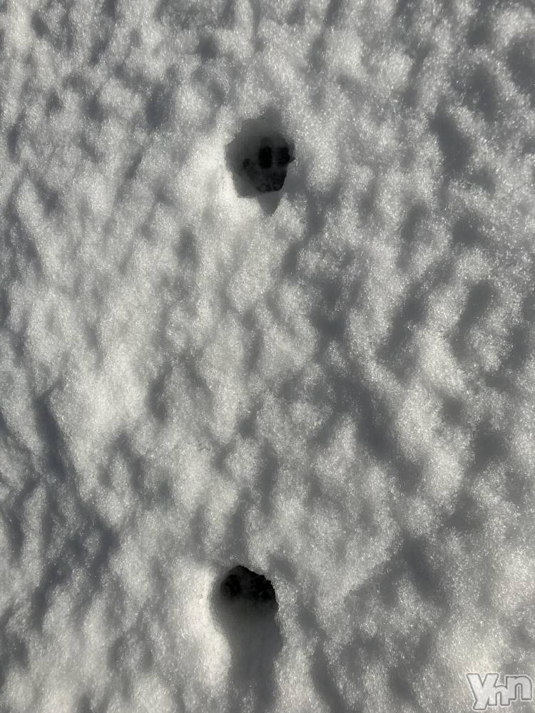 ���ܥ���Х��顦�����club RUDAN(����֥����) �椤��2��7���̥�֥����ֿ�����ȯ��|ू•��•)���׎���