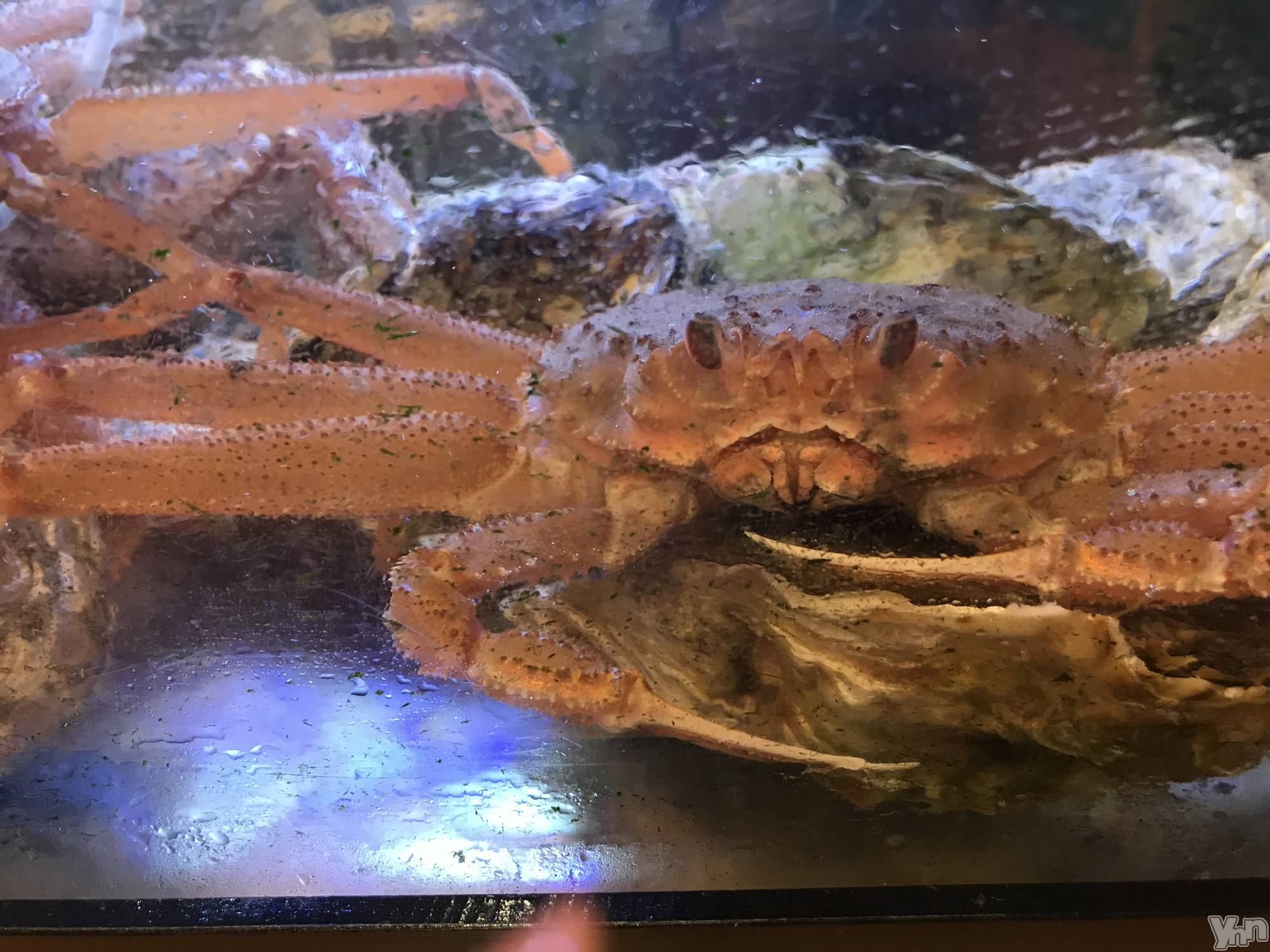 ���ܥ���Х��顦�����club RUDAN(����֥����) ��2022ǯ4��23���̥�֥����֥���(���ࡱ)��