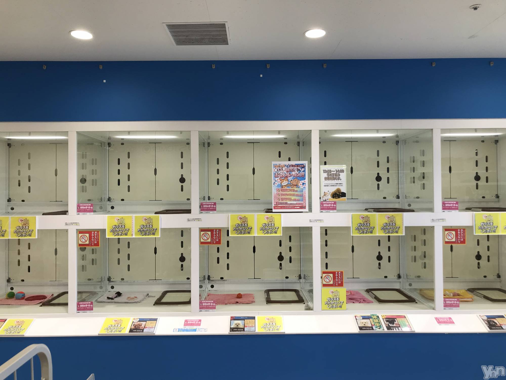 ���ܥ���Х��顦�����club RUDAN(����֥����) ��2022ǯ4��29���̥�֥����������ġ�.��( ������)��