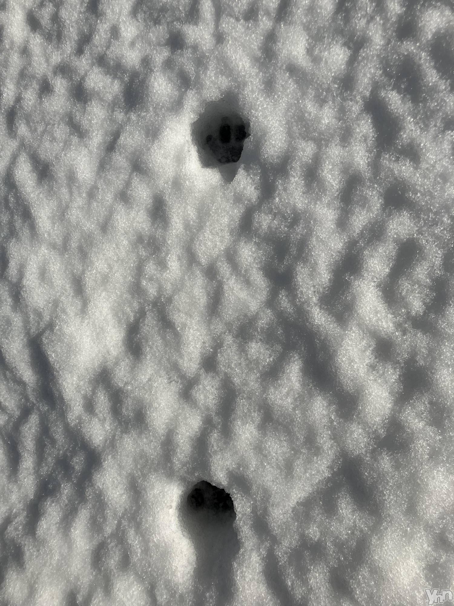 ���ܥ���Х��顦�����club RUDAN(����֥����) ��2024ǯ2��7���̥�֥����ֿ�����ȯ��|ू•��•)���׎���