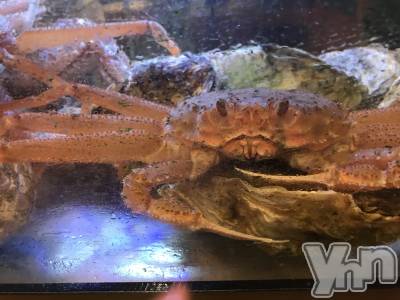 ���ܥ���Х��顦�����club RUDAN(����֥����) �椤��4��23���̥�֥����֥���(���ࡱ)��