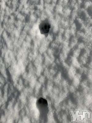 ���ܥ���Х��顦�����club RUDAN(����֥����) �椤��2��7���̥�֥����ֿ�����ȯ��|ू•��•)���׎���